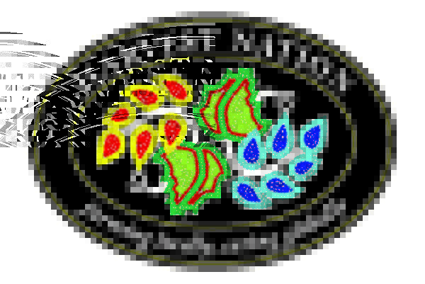 Harvest Nation Logo