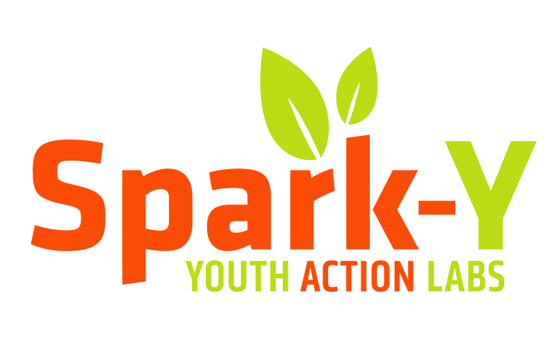Spark Y Logo